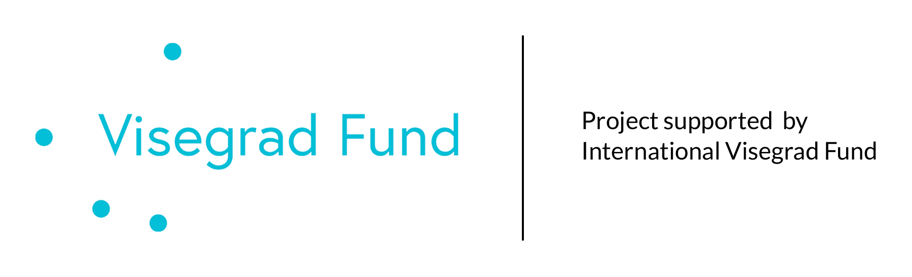 V4 fund
